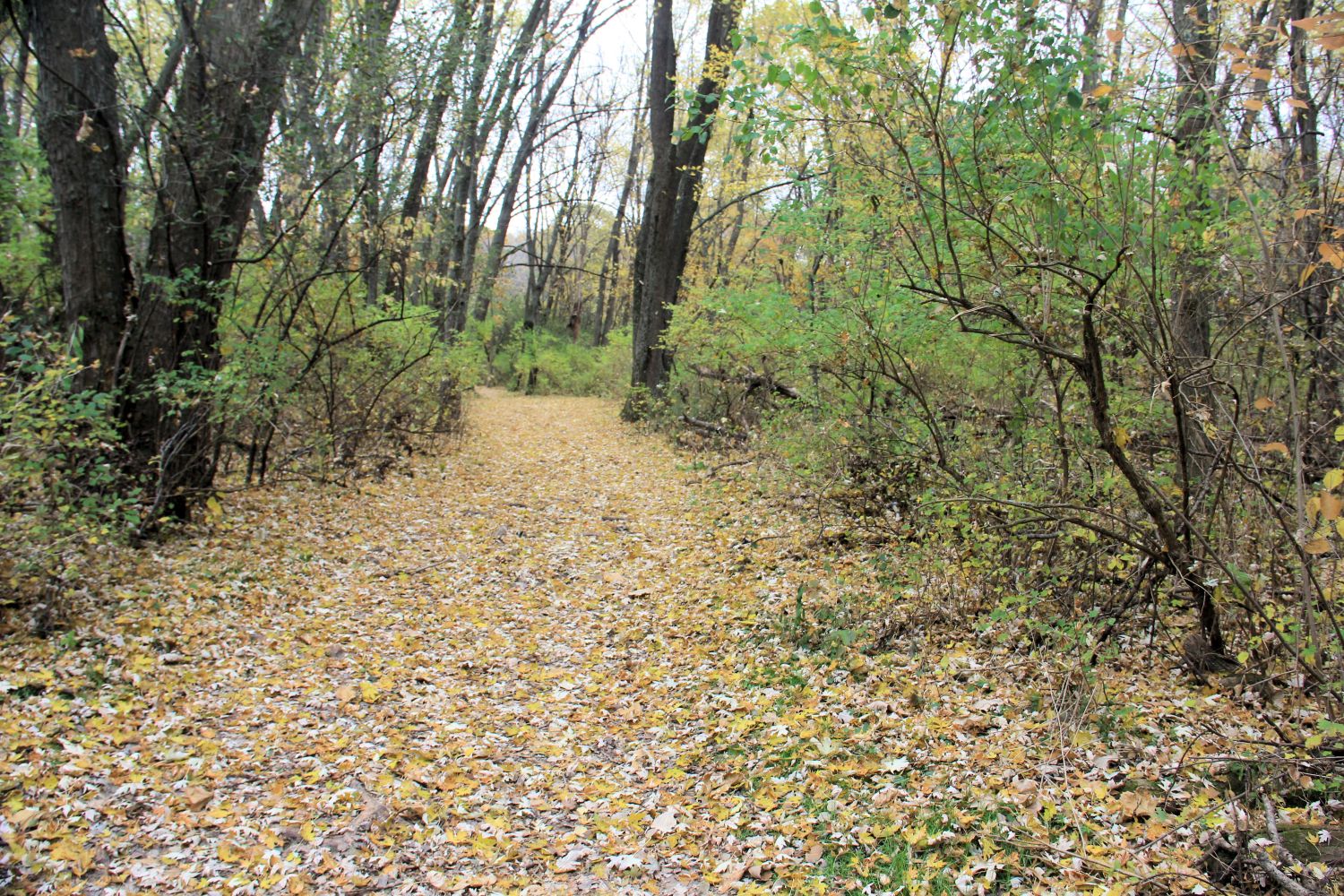 Rock Cut State Park 